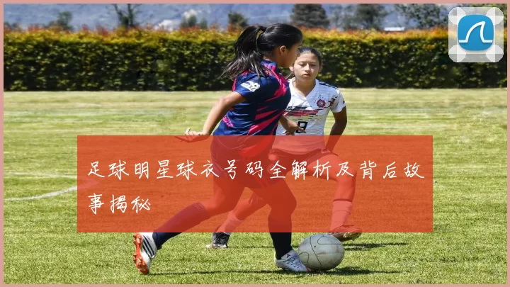 足球明星球衣号码全解析及背后故事揭秘