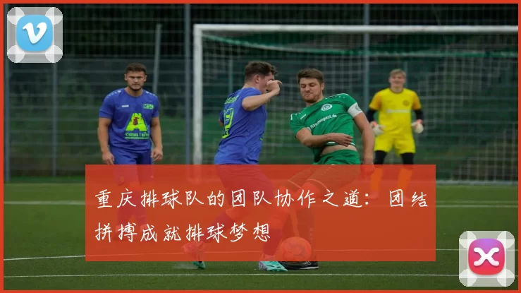 重庆排球队的团队协作之道：团结拼搏成就排球梦想