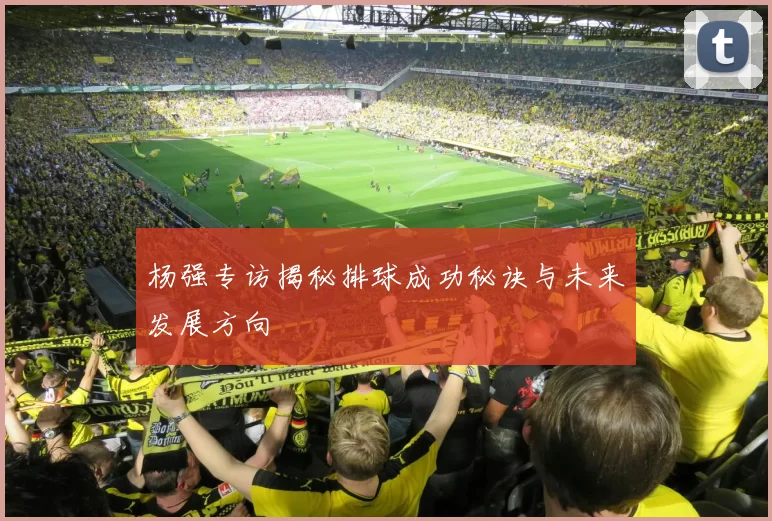 杨强专访揭秘排球成功秘诀与未来发展方向