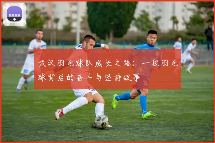 武汉羽毛球队成长之路：一段羽毛球背后的奋斗与坚持故事