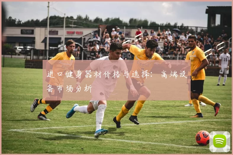 进口健身器材价格与选择：高端设备市场分析