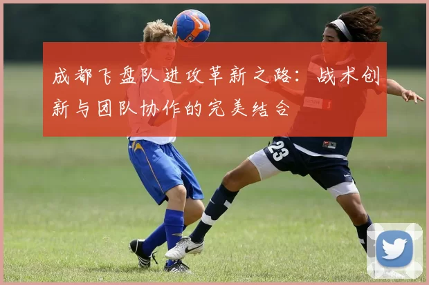 成都飞盘队进攻革新之路：战术创新与团队协作的完美结合
