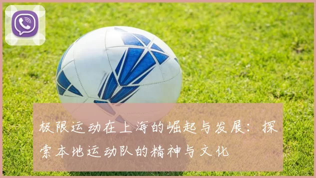 极限运动在上海的崛起与发展：探索本地运动队的精神与文化