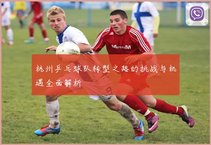 杭州乒乓球队转型之路的挑战与机遇全面解析