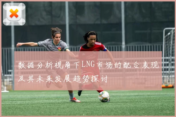 数据分析视角下LNG市场的配合表现及其未来发展趋势探讨