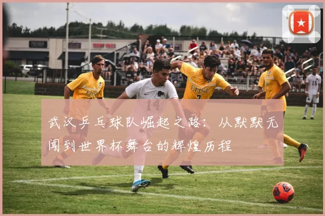 武汉乒乓球队崛起之路：从默默无闻到世界杯舞台的辉煌历程