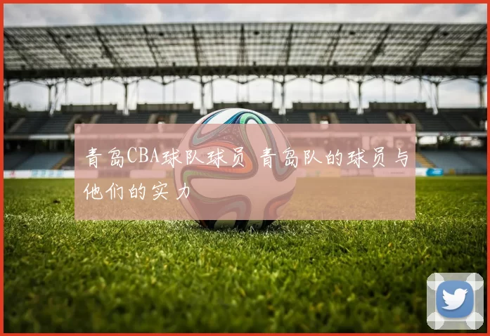 青岛CBA球队球员 青岛队的球员与他们的实力