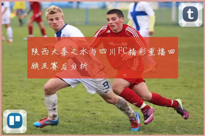 陕西大秦之水与四川FC精彩重播回顾及赛后分析
