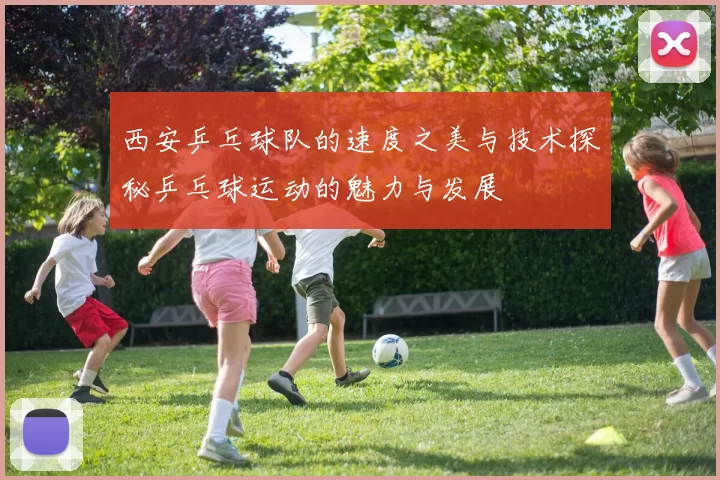 西安乒乓球队的速度之美与技术探秘乒乓球运动的魅力与发展