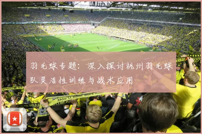 羽毛球专题：深入探讨杭州羽毛球队灵活性训练与战术应用