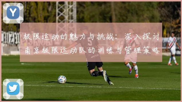 极限运动的魅力与挑战：深入探讨南京极限运动队的训练与管理策略