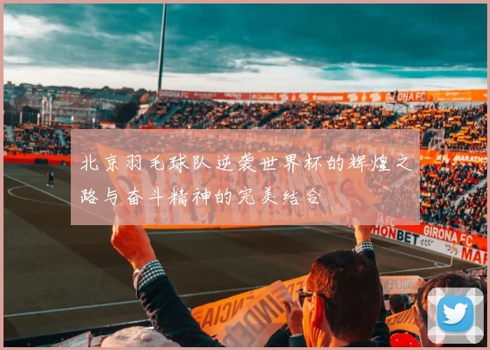 北京羽毛球队逆袭世界杯的辉煌之路与奋斗精神的完美结合