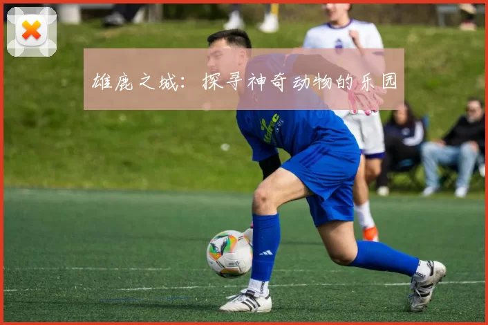 雄鹿之城：探寻神奇动物的乐园
