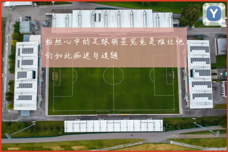 粉丝心中的足球明星究竟是谁让他们如此痴迷与追随