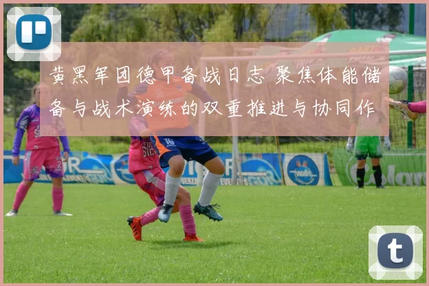 黄黑军团德甲备战日志 聚焦体能储备与战术演练的双重推进与协同作战